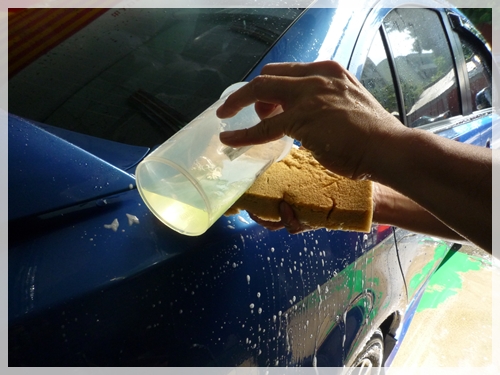 頂級白棕櫚蠟護理＆奈米汽車玻璃防污塗料施工