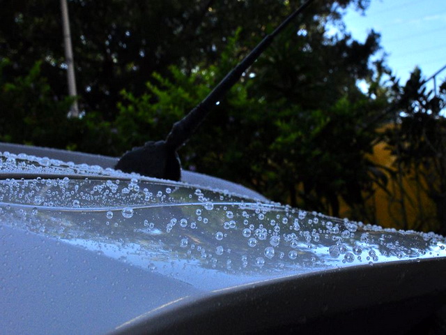 IX35白色車打M+專家蠟後二星期洗車時的水珠