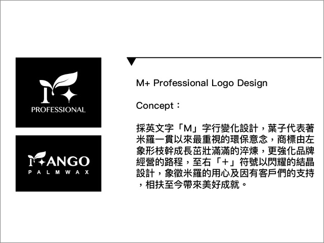 M+ Professional Logo Design